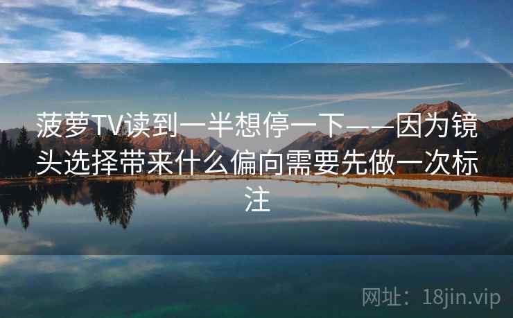 菠萝TV读到一半想停一下——因为镜头选择带来什么偏向需要先做一次标注